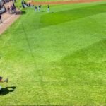 people on green grass field during daytime